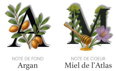 Parfum naturel du soin corps peau sèche abîmée Cocoon d’Orient : note de fond argan bio, note de cœur miel de l’Atlas